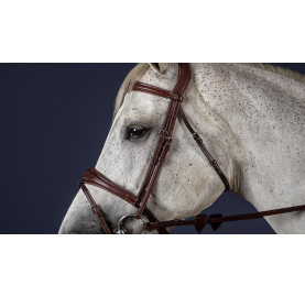 MONTANTS DE MORS STANDARD