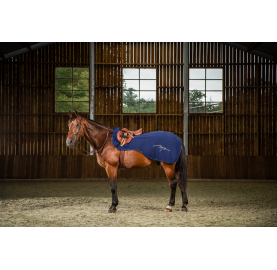 COUVRE-REINS 3 EN 1 DYON