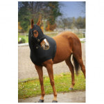 Protections lycra
