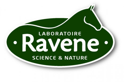 RAVENE