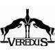 VEREDUS